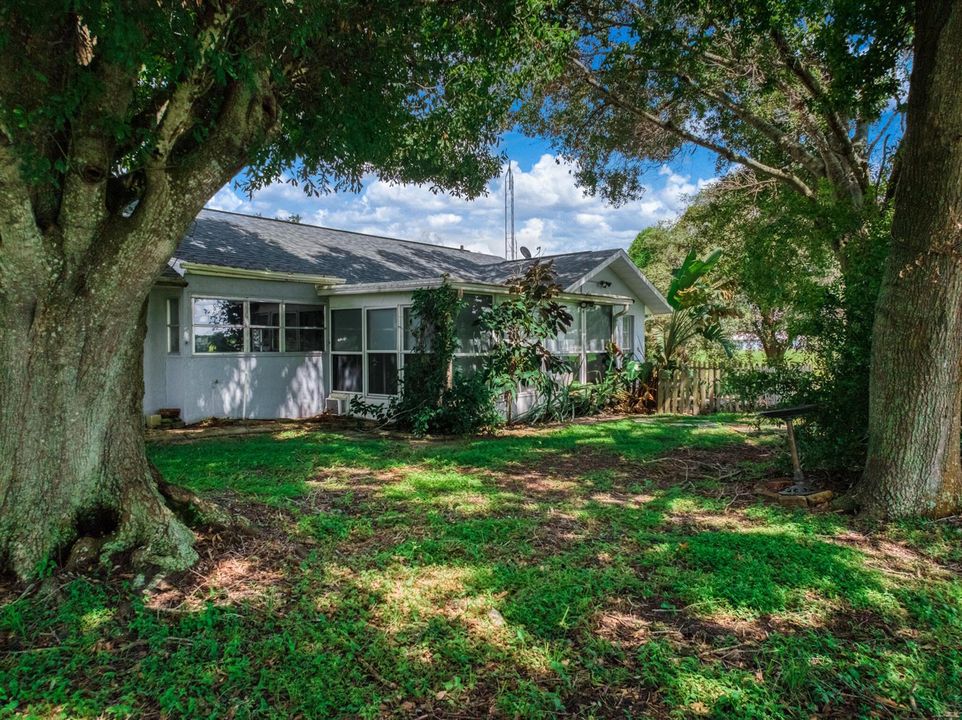exterior - backyard 2