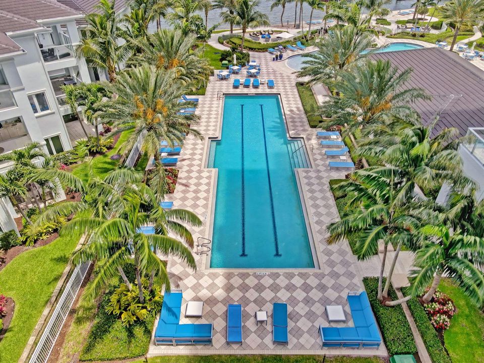 Large Lap Pool