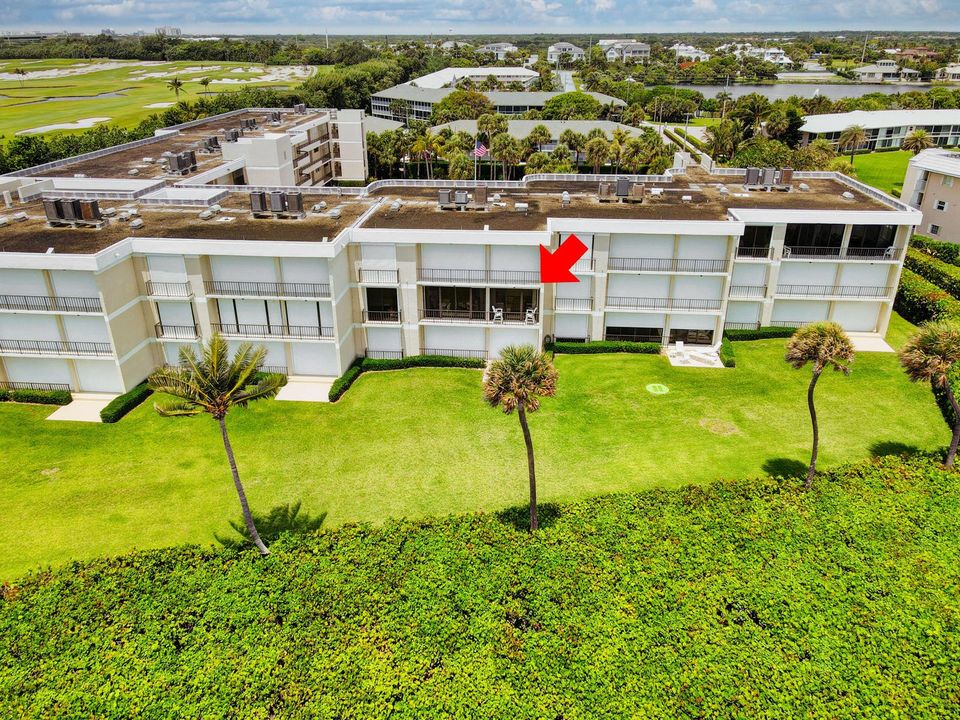 Unit 203 View