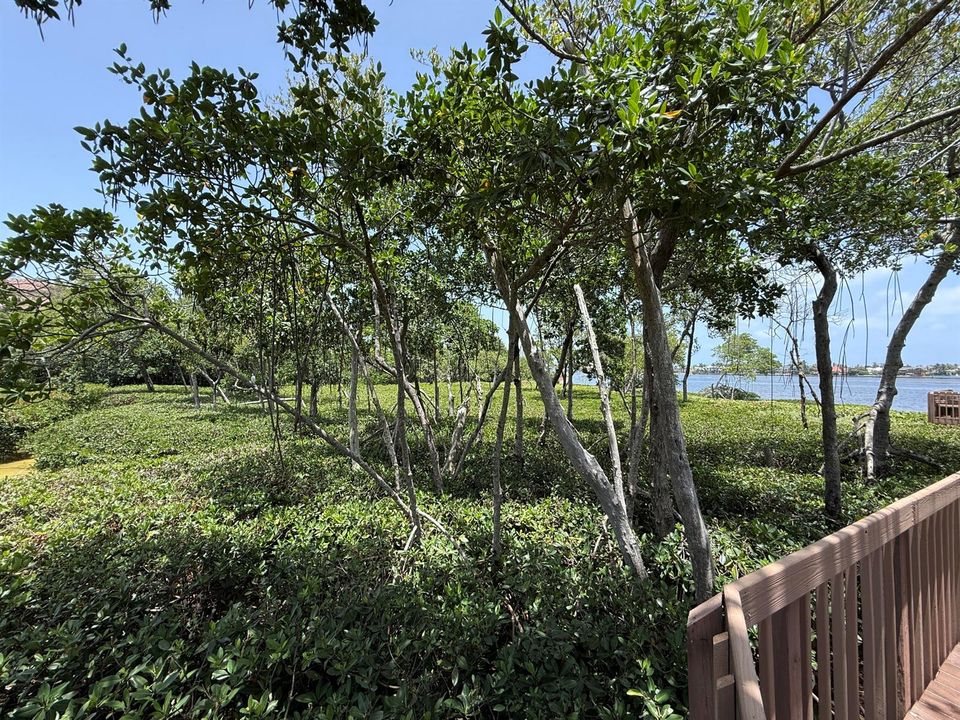 Community Boardwalk & Preserve