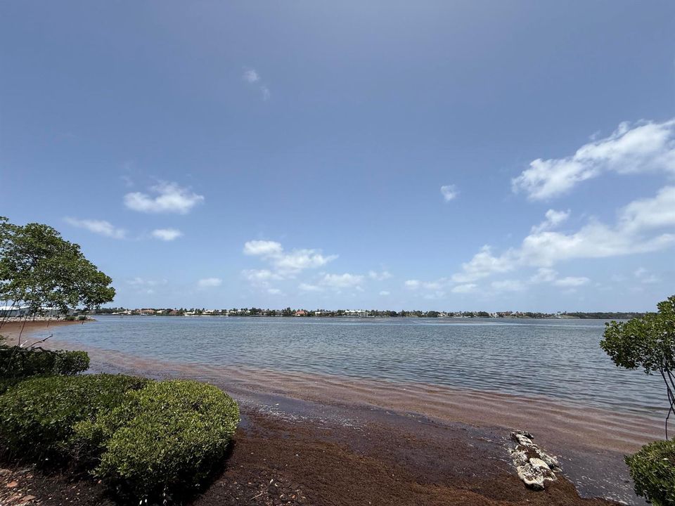 Community Boardwalk Intracoastal View