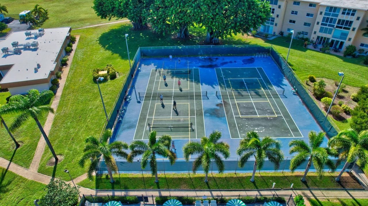 Aerial View of the Community