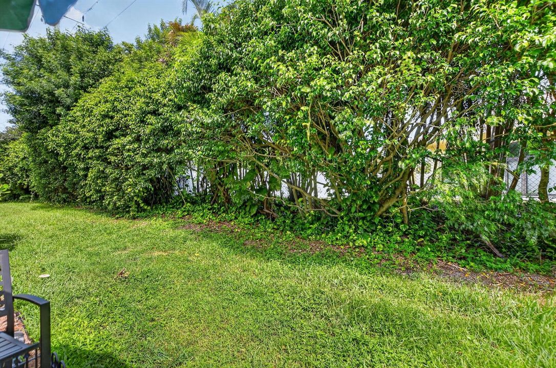 37-web-or-mls-DSC_5322