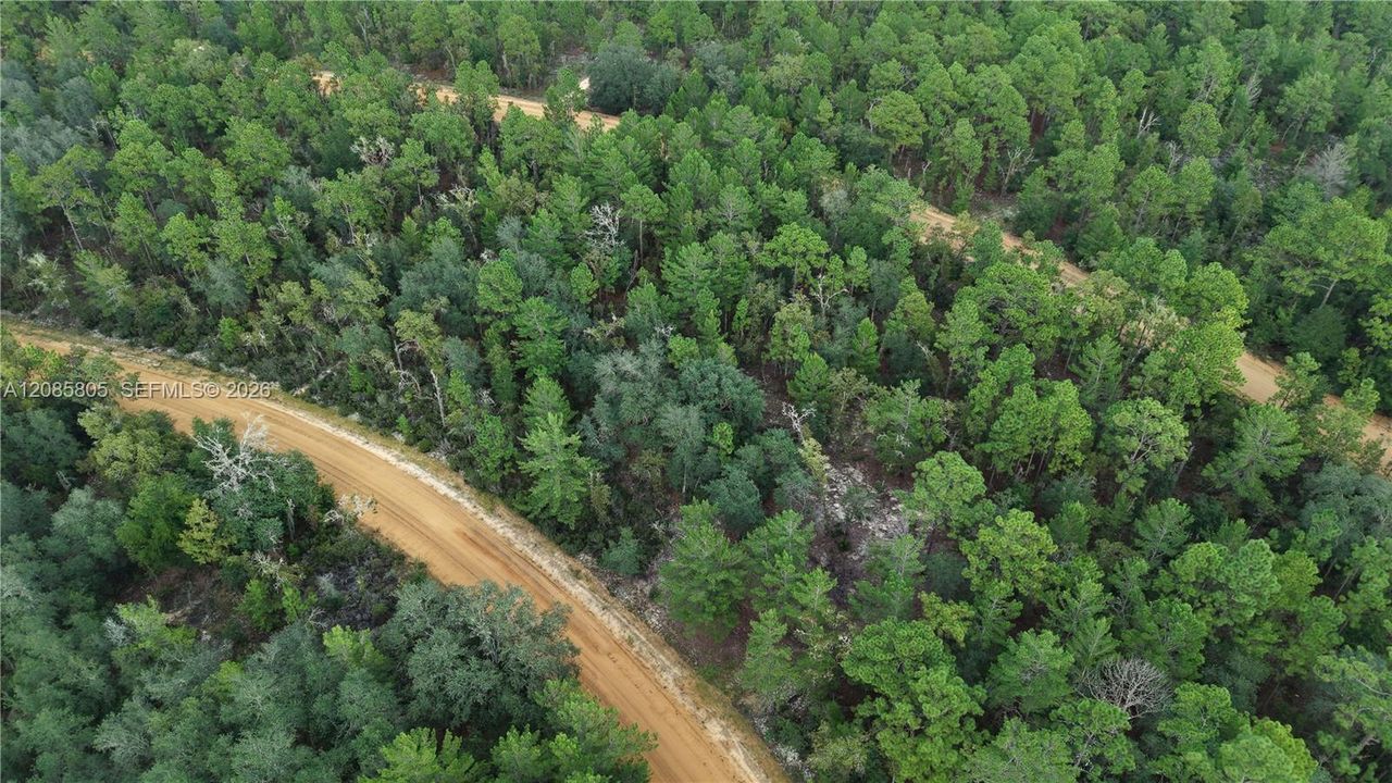 For Sale: $26,000 (0.26 acres)