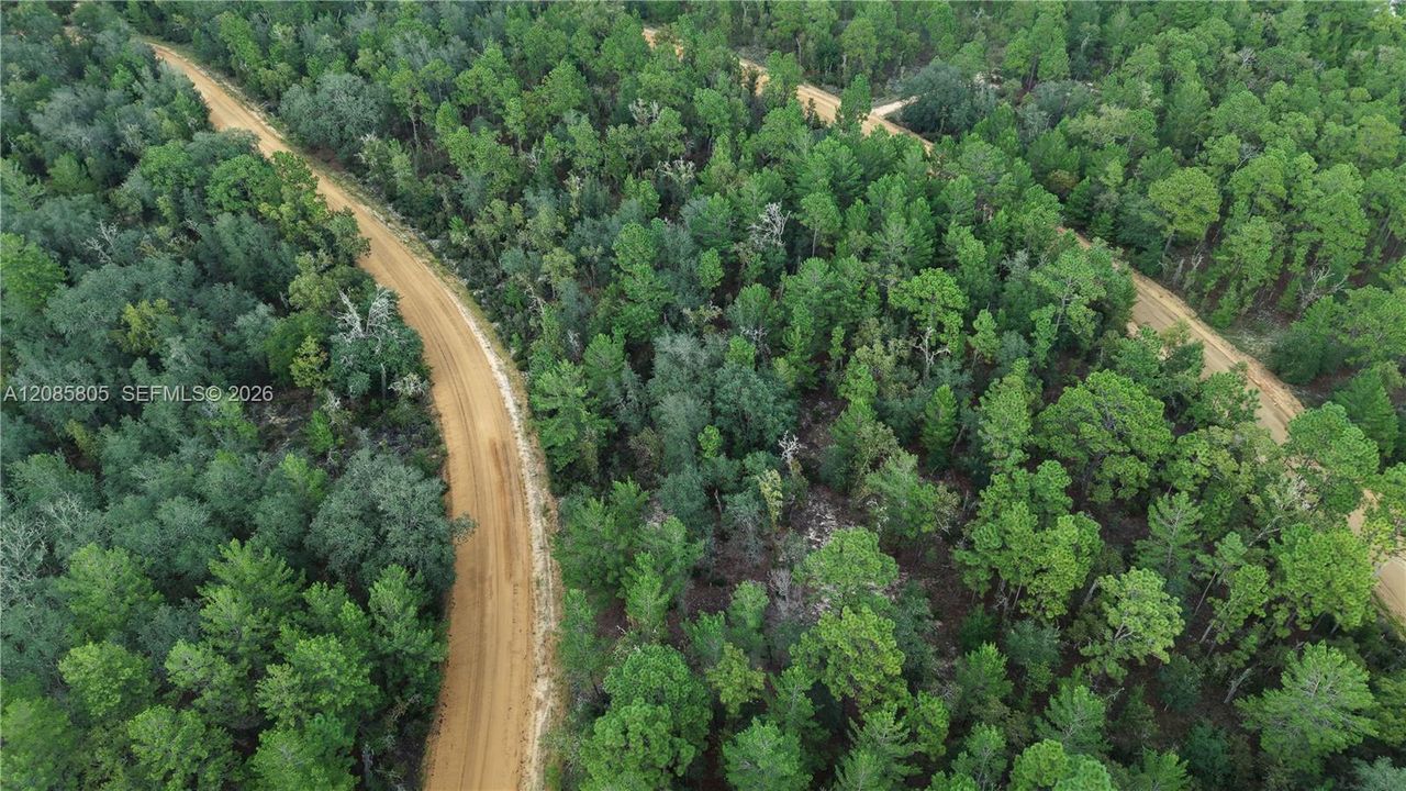 For Sale: $26,000 (0.26 acres)
