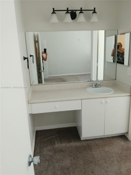Vanity outside the water closet and shower