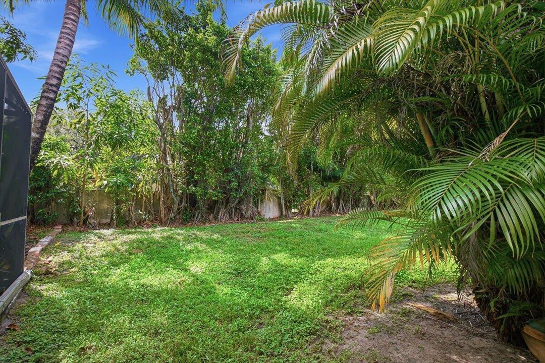 12-Backyard