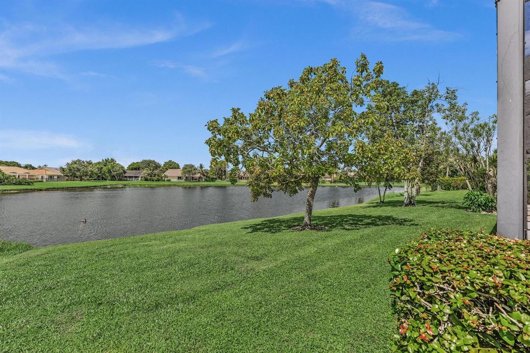 Stunning lake view