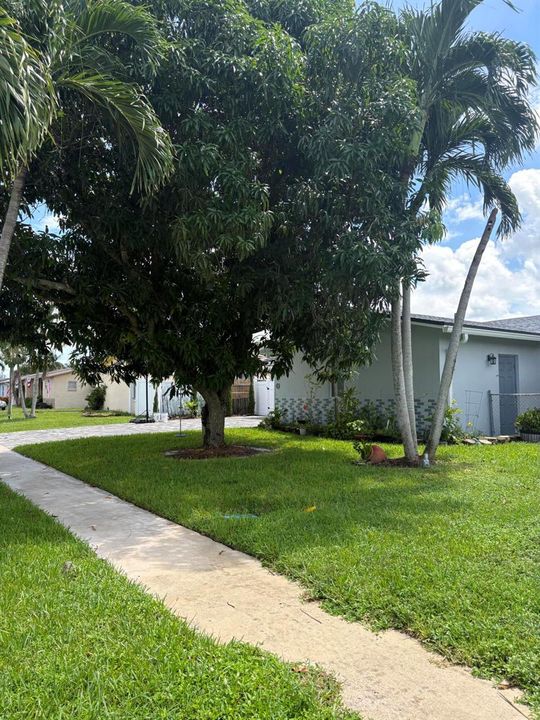 front house 4