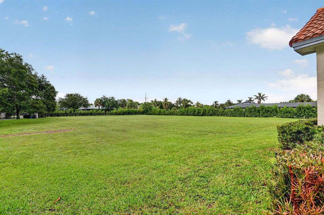 Front yard