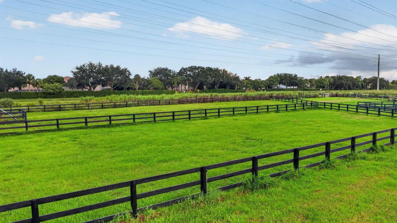 Paddocks 2