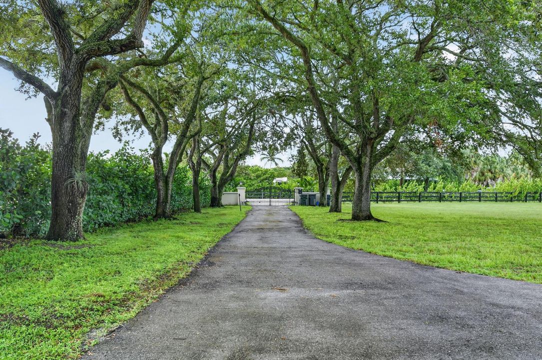 Driveway to Gate
