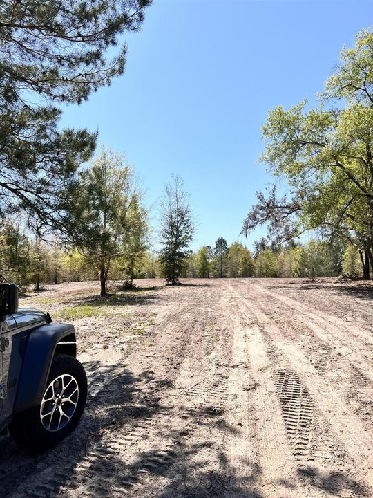 Root Road Photo 2