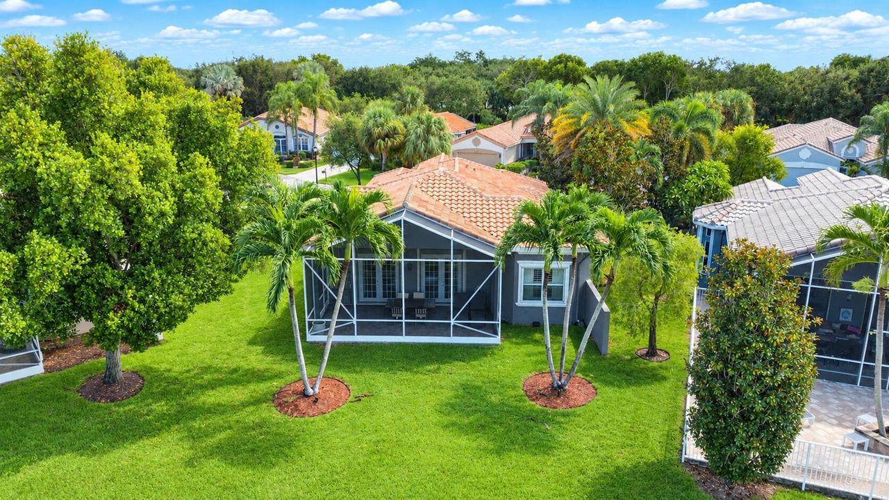 Back of House Drone