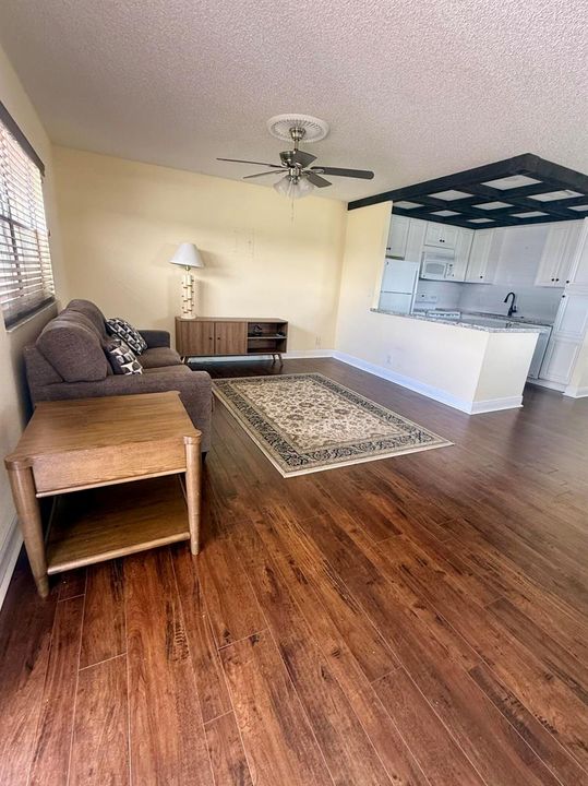 Living Room/Kitchen view