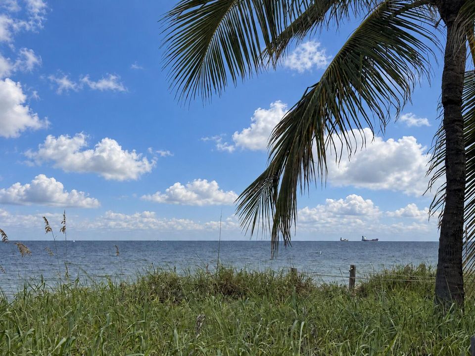 MLS_photo_001