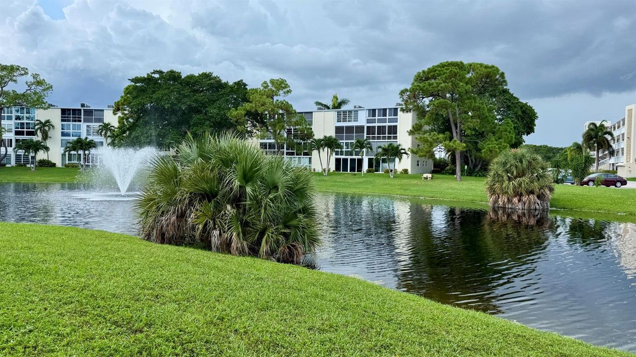 Patio Lake View