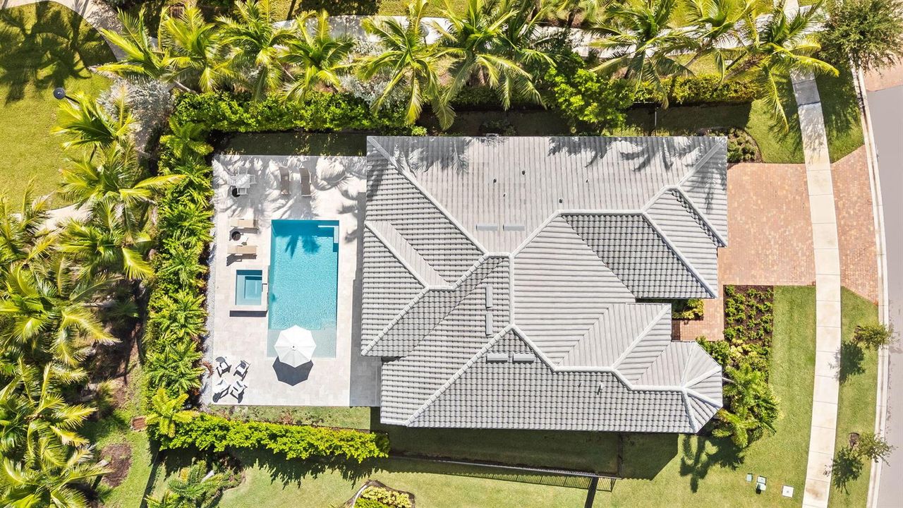 Aerial 7