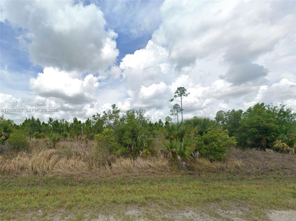 For Sale: $10,000 (0.20 acres)
