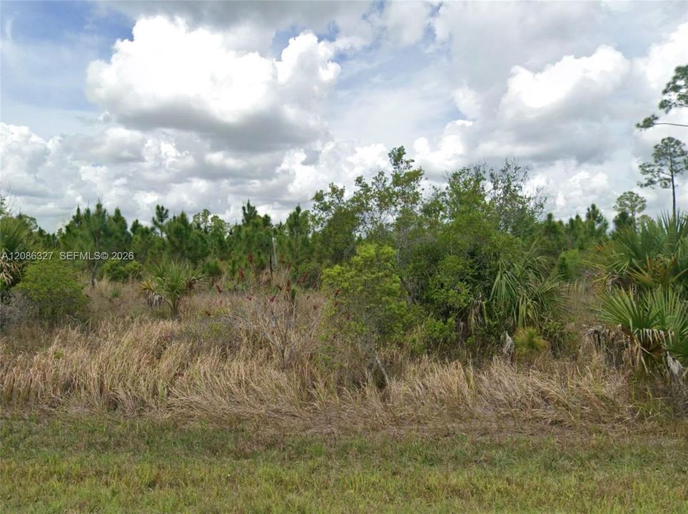 For Sale: $10,000 (0.20 acres)