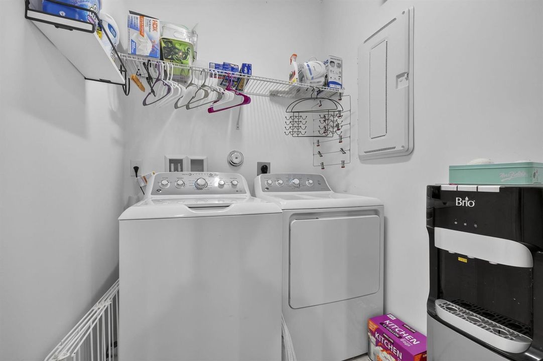 26-web-or-mls-BS1A4469