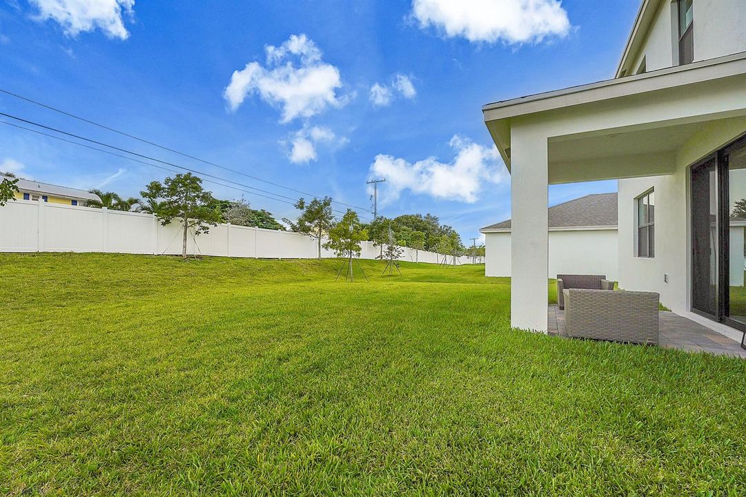 backyard 1