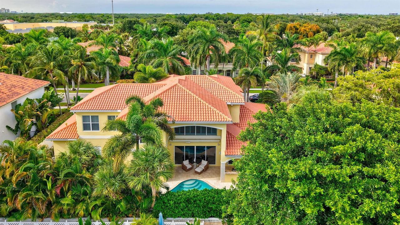 Drone of the Back of the House