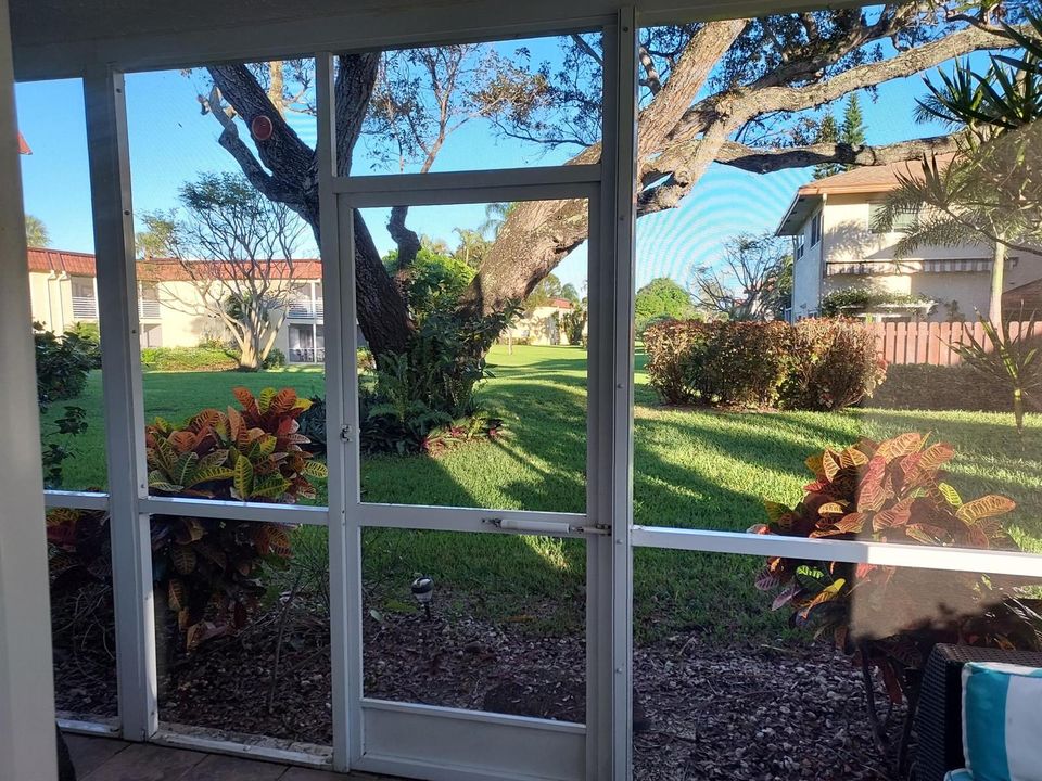 Patio view