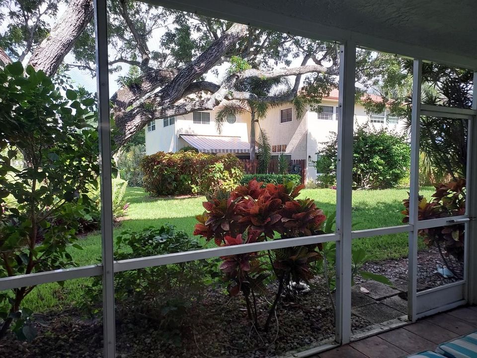 Patio view