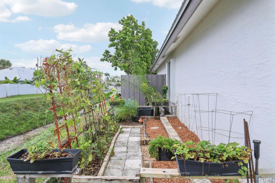 Sideyard/Garden