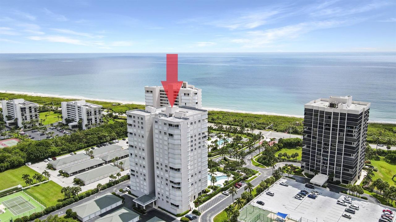 DJI_0494 (Arrow)
