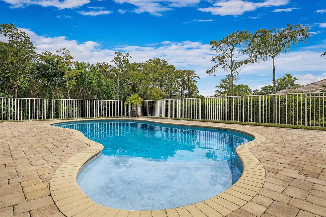 Fenced-in Pool