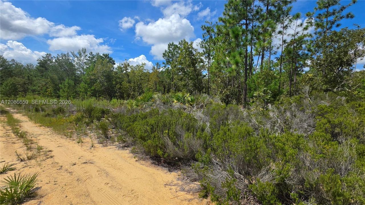 For Sale: $30,000 (0.63 acres)