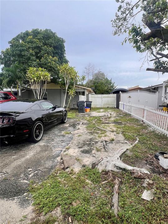 Side front yard