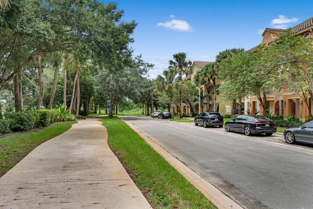 Community Street View