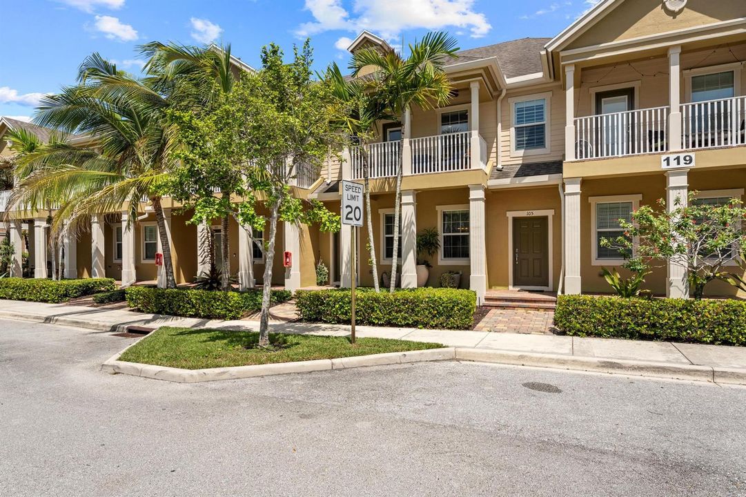 119 Black Ironwood