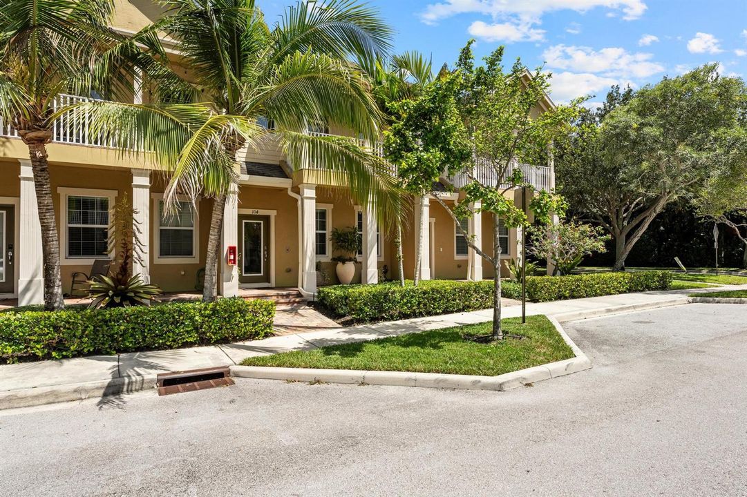 119 Black Ironwood