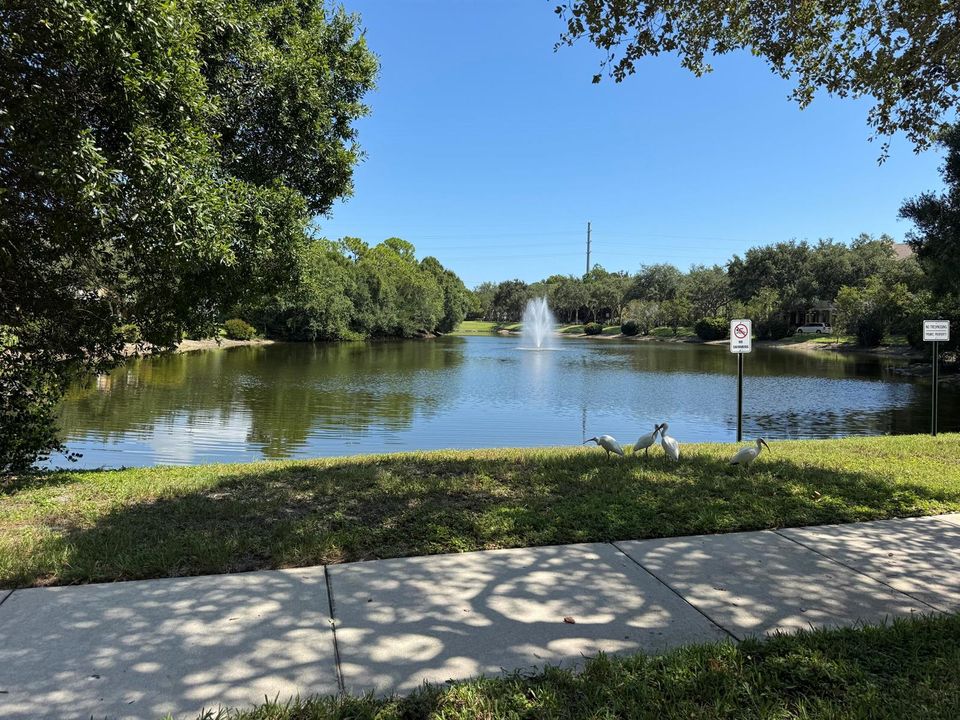 Community lakes