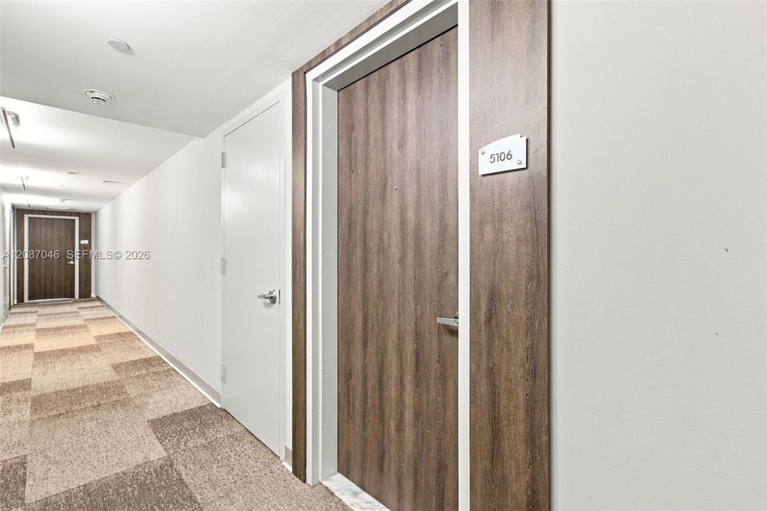 Main door and Hallway