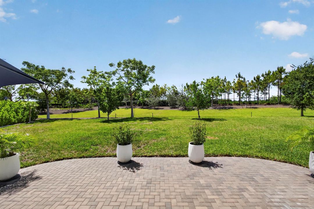 85-print-BS1A6207 Large Back Yard View