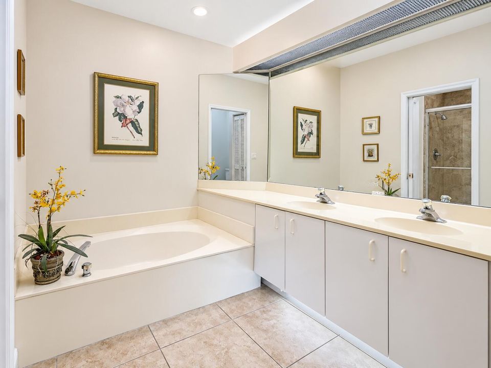 Master Tub & Dual Sinks