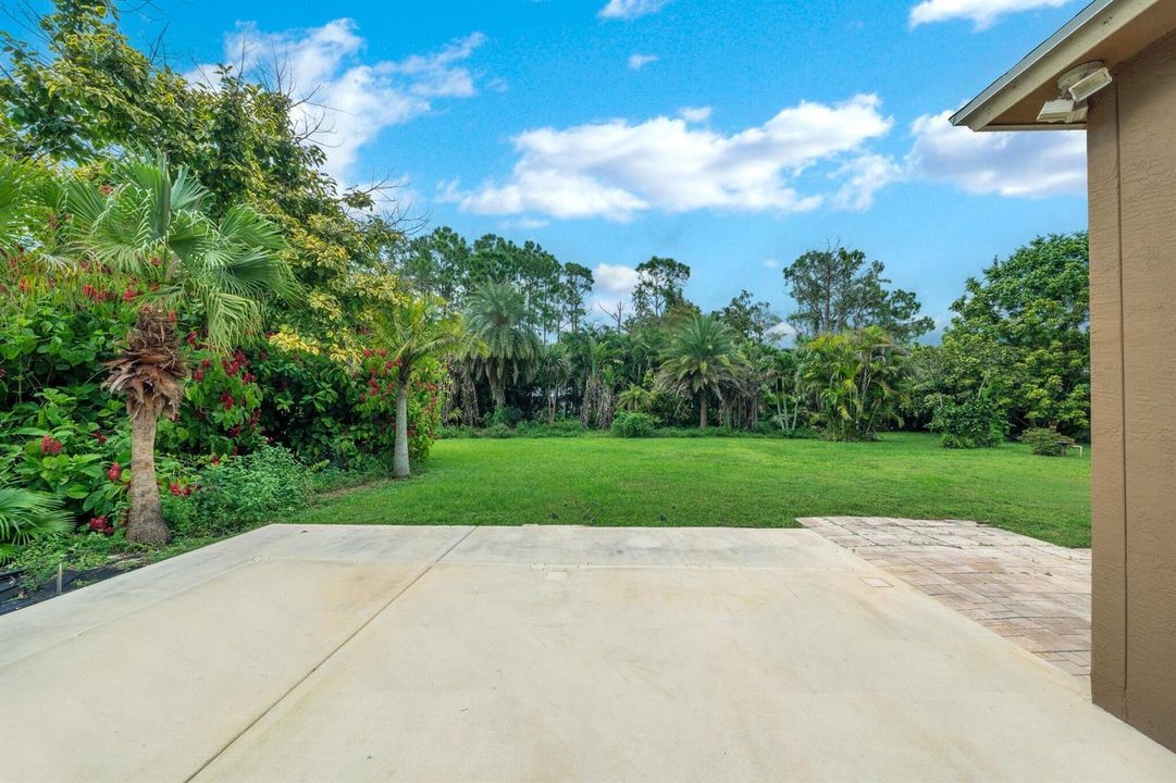 14 Backyard (2)