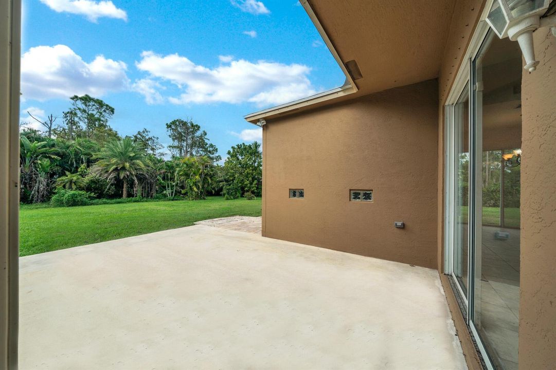 14 Backyard (1)