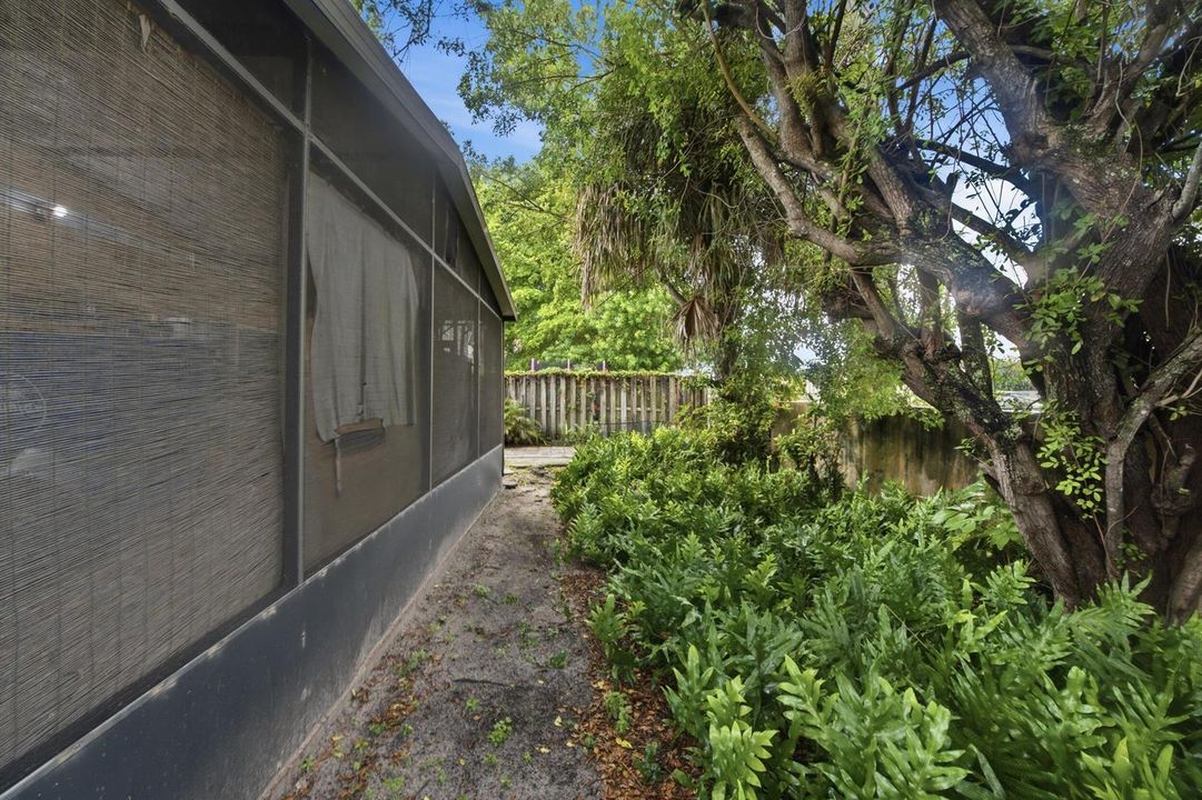 Backyard
