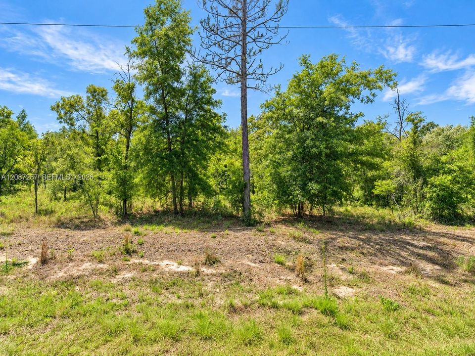For Sale: $12,500 (0.25 acres)