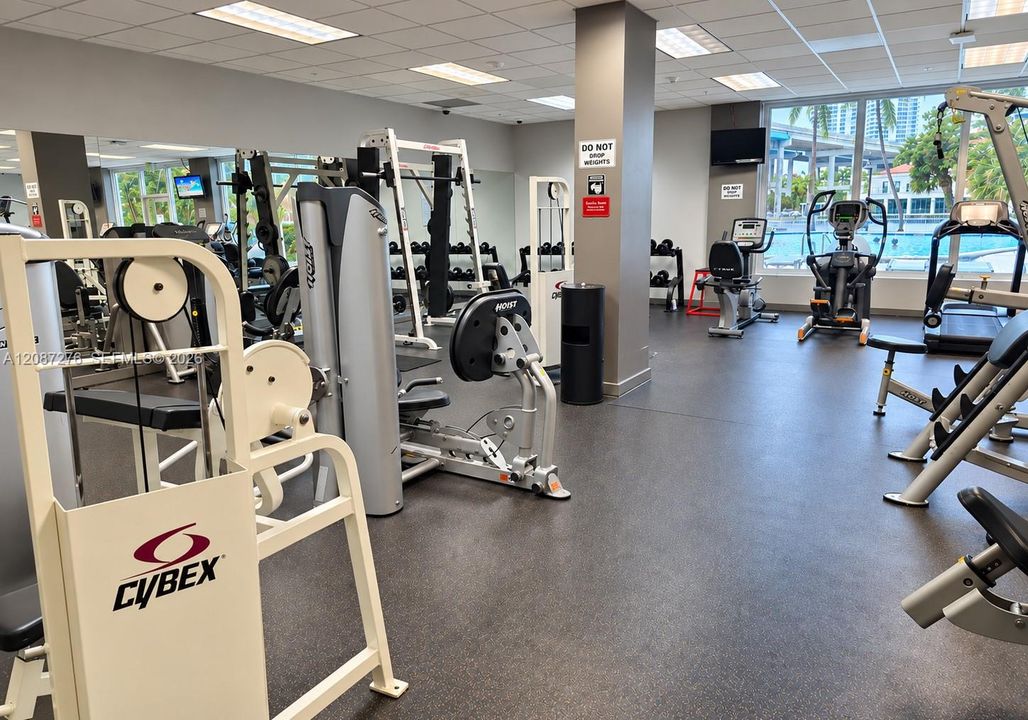 出租: $2,300 (1 贝兹, 1 浴室, 1000 平方英尺)