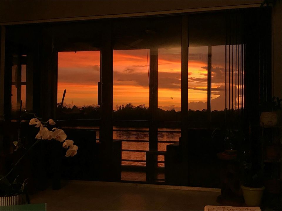 View (2)