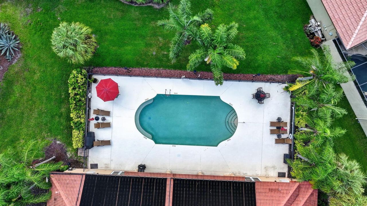 Clubhouse Pool