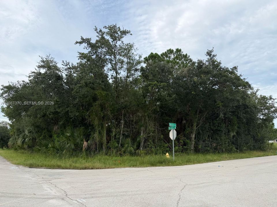 待售: $55,000 (0.29 acres)