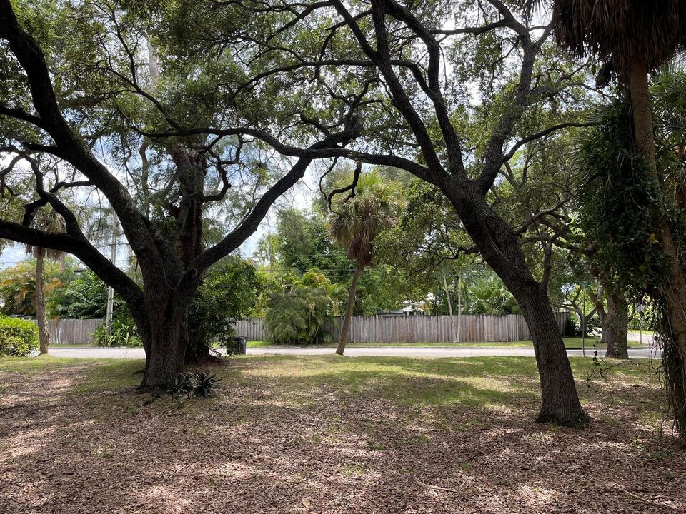 3-front yard to street